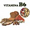 Vitamina B6